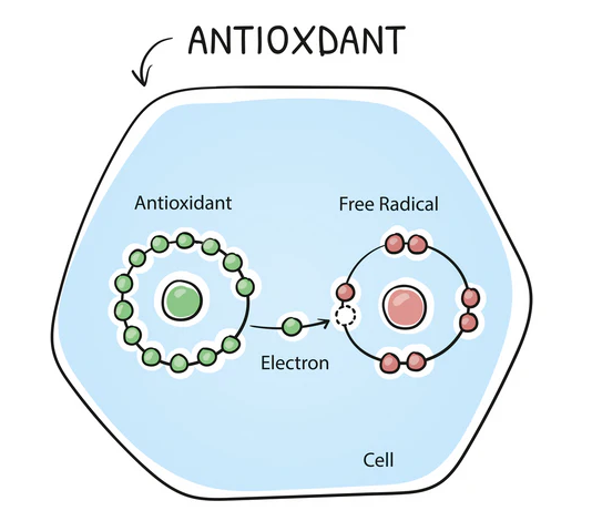 Antioxidants