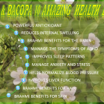 BRAHMI & BACOPA 10 AMAZING HEALTH BENEFITS slf