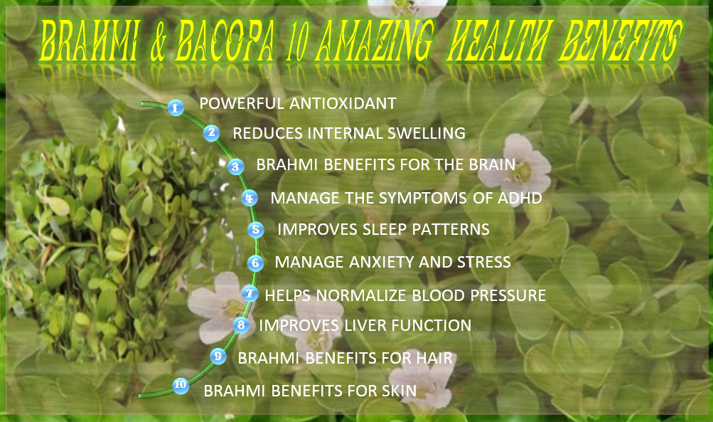 BRAHMI & BACOPA 10 AMAZING HEALTH BENEFITS slf