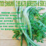 DRUMSTICK (SAHJAN) 7 HEALTH BENEFITS & SIDE EFFECTS