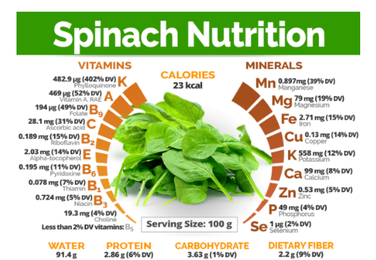 SPINACH NUTRITION