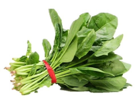 SPINACH