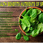 HEALTH BENEFITS NUTRIENTS OF SPINACH