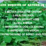 HEALTH BENEFITS OF BATHUA IN 2025