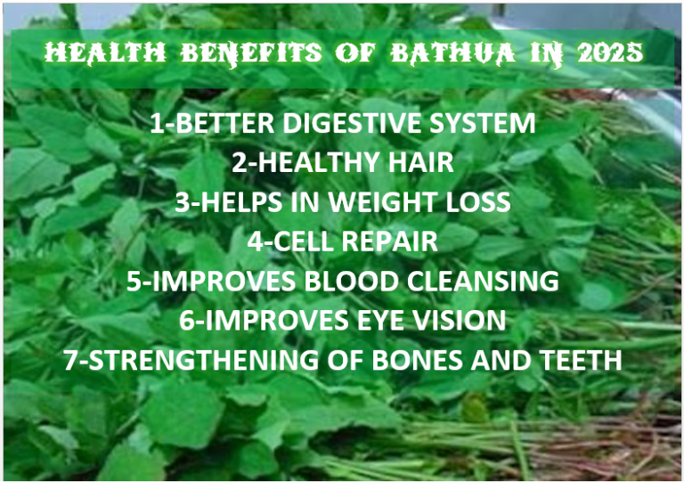 HEALTH BENEFITS OF BATHUA IN 2025