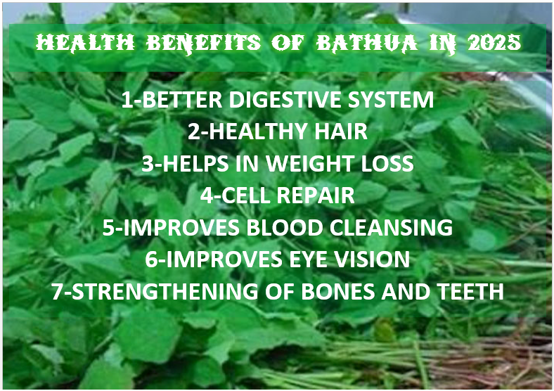 HEALTH BENEFITS OF BATHUA IN 2025