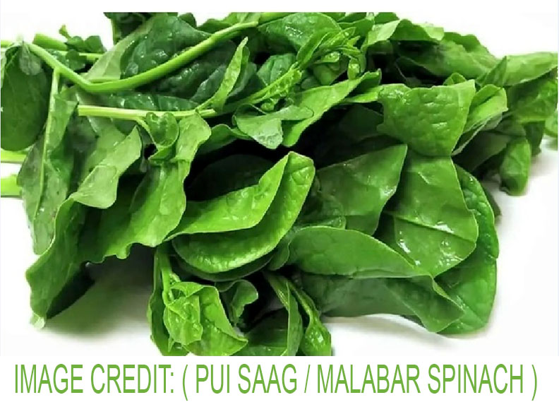 IMAGE CREDIT ( PUI SAAG MALABAR SPINACH )