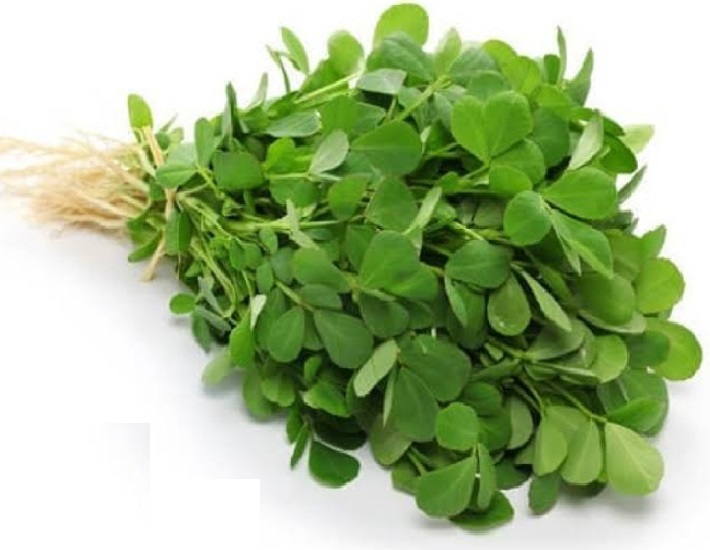 ( METHI & FENUGREEK ) PLANT