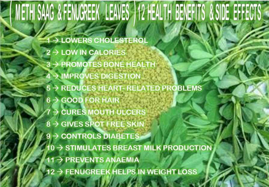 ( METHI & FENUGREEK ) LEVES AND 12 health benefits